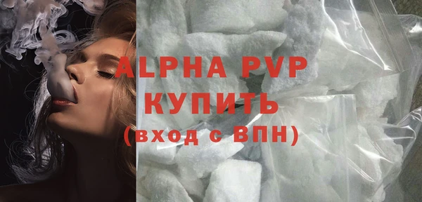 сатива Вяземский