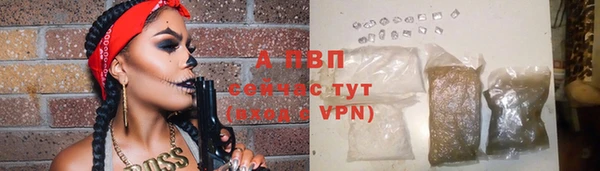 сатива Вяземский