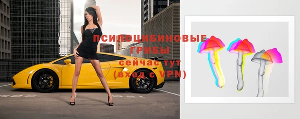 герыч Вязьма