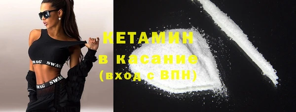 сатива Вяземский