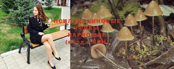 герыч Вязьма