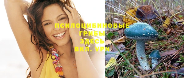 соль курить ск Гусь-Хрустальный