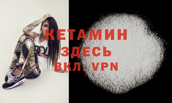 сатива Вяземский