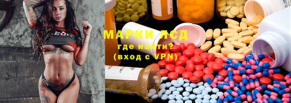 сатива Вяземский