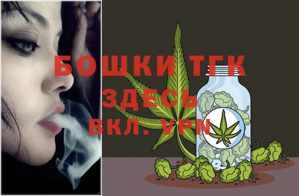 сатива Вяземский