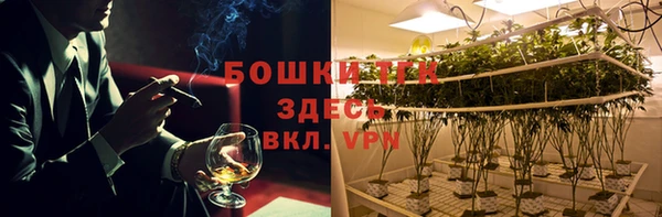сатива Вяземский